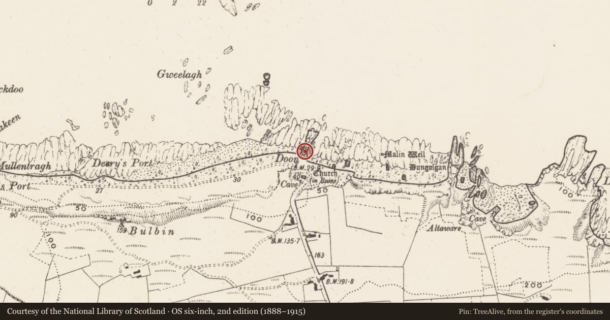 Ordnance Survey six-inch map, 2nd edition (1888–1915) covering the location of Promontory fort - coastal, Ballygorman, County Donegal, with a pin at the register's coordinates
