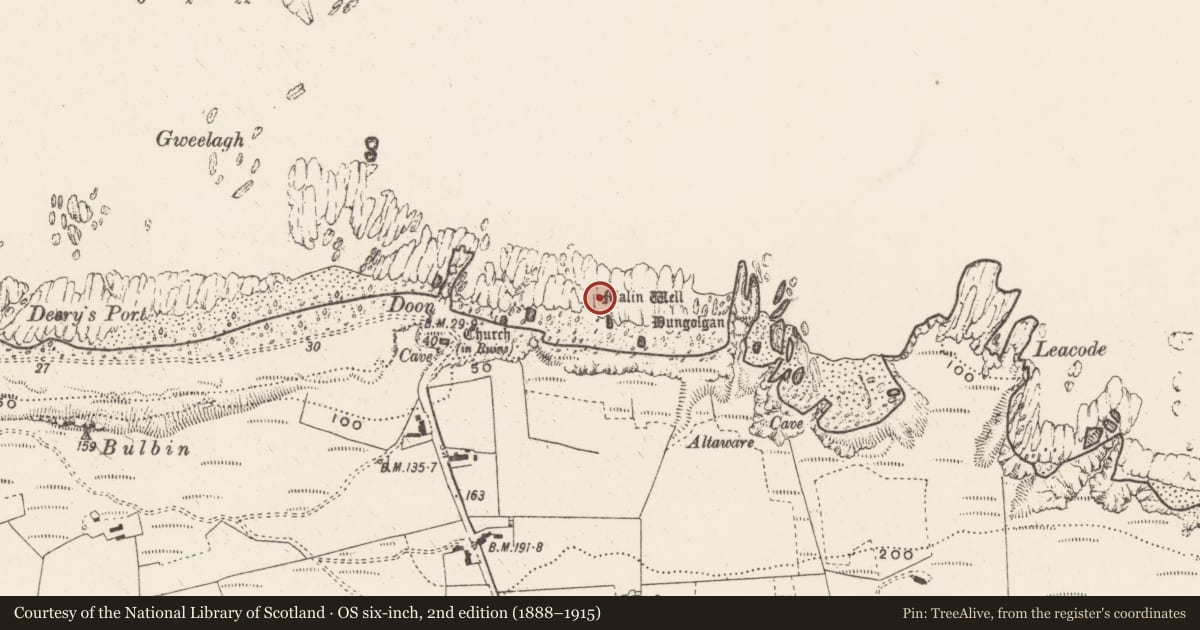 Ordnance Survey six-inch map, 2nd edition (1888–1915) covering the location of Ritual site - holy well, Ballygorman, County Donegal, with a pin at the register's coordinates