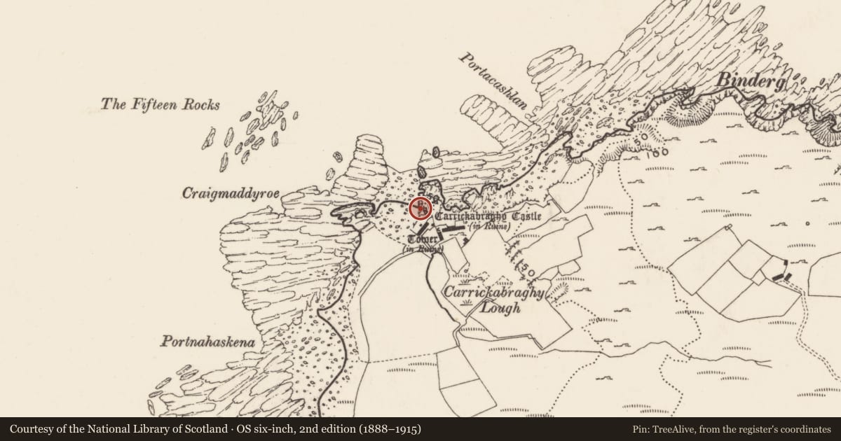 Ordnance Survey six-inch map, 2nd edition (1888–1915) covering the location of Castle - tower house, Carrickabraghy, County Donegal, with a pin at the register's coordinates