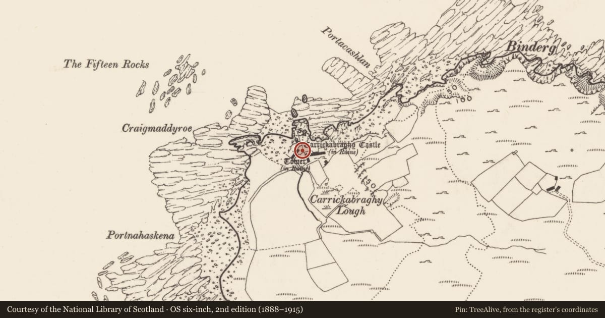 Ordnance Survey six-inch map, 2nd edition (1888–1915) covering the location of Structure, Carrickabraghy, County Donegal, with a pin at the register's coordinates