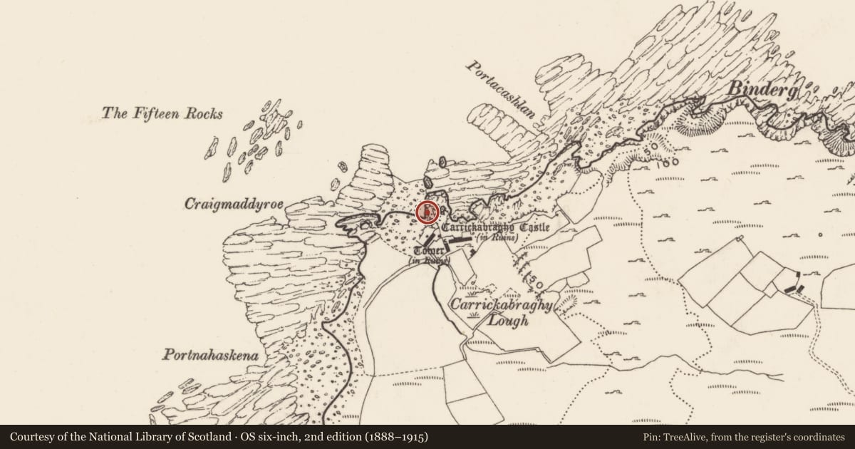 Ordnance Survey six-inch map, 2nd edition (1888–1915) covering the location of Structure, Carrickabraghy, County Donegal, with a pin at the register's coordinates
