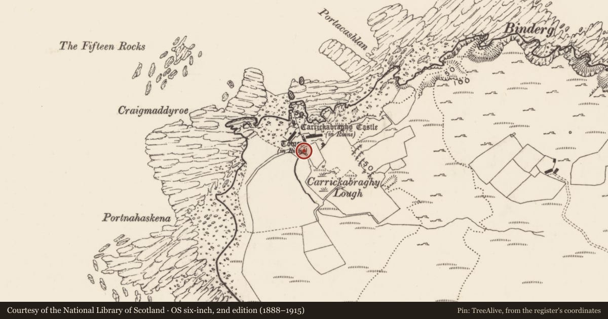 Ordnance Survey six-inch map, 2nd edition (1888–1915) covering the location of Structure, Carrickabraghy, County Donegal, with a pin at the register's coordinates