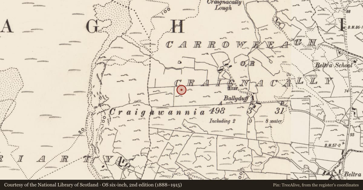 Ordnance Survey six-inch map, 2nd edition (1888–1915) covering the location of Standing stone, Carrowreagh Or Craignacally, County Donegal, with a pin at the register's coordinates