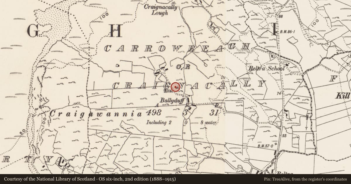 Ordnance Survey six-inch map, 2nd edition (1888–1915) covering the location of Cross-inscribed pillar, Carrowreagh Or Craignacally, County Donegal, with a pin at the register's coordinates