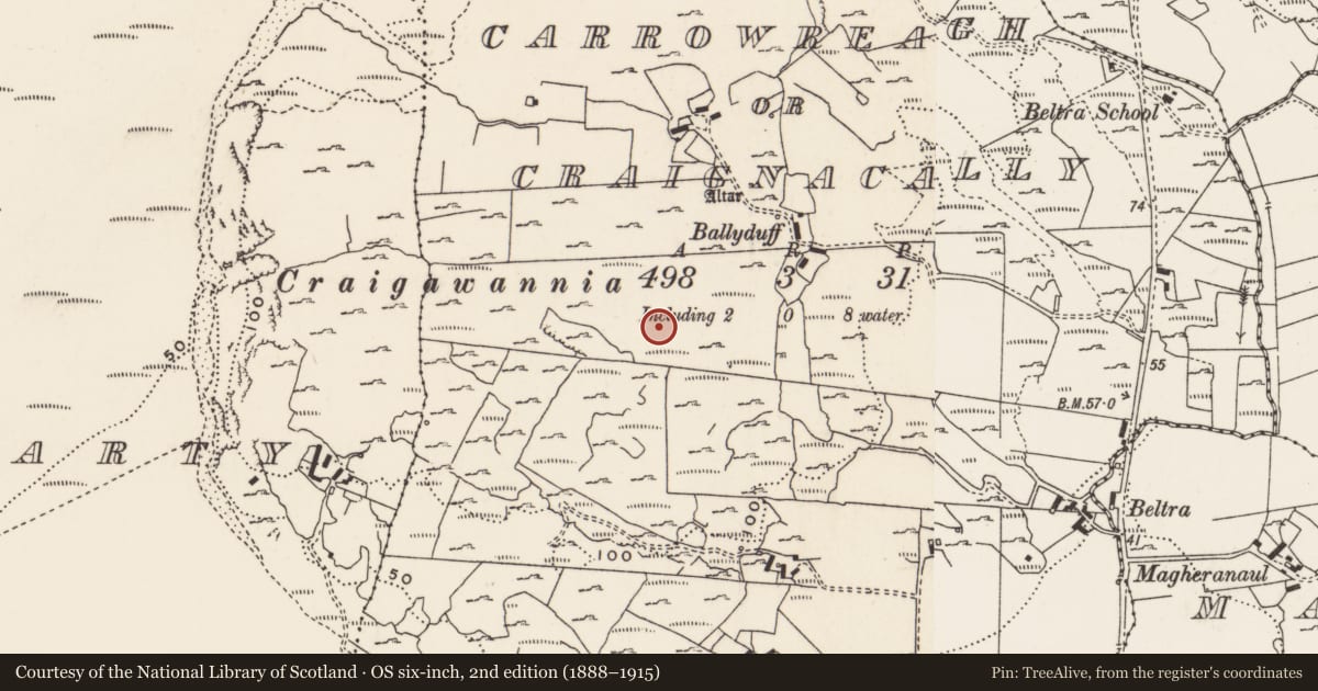 Ordnance Survey six-inch map, 2nd edition (1888–1915) covering the location of Rock art, Carrowreagh Or Craignacally, County Donegal, with a pin at the register's coordinates