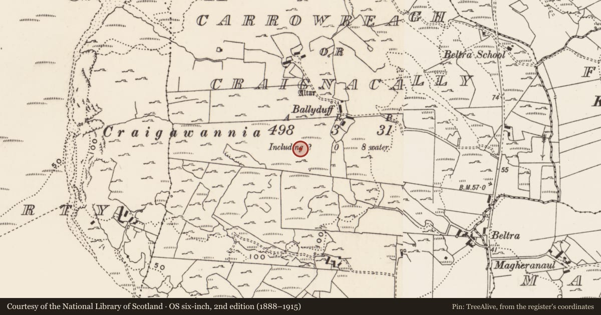 Ordnance Survey six-inch map, 2nd edition (1888–1915) covering the location of Rock art, Carrowreagh Or Craignacally, County Donegal, with a pin at the register's coordinates