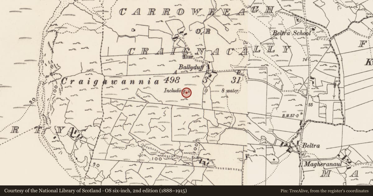 Ordnance Survey six-inch map, 2nd edition (1888–1915) covering the location of Rock art, Carrowreagh Or Craignacally, County Donegal, with a pin at the register's coordinates