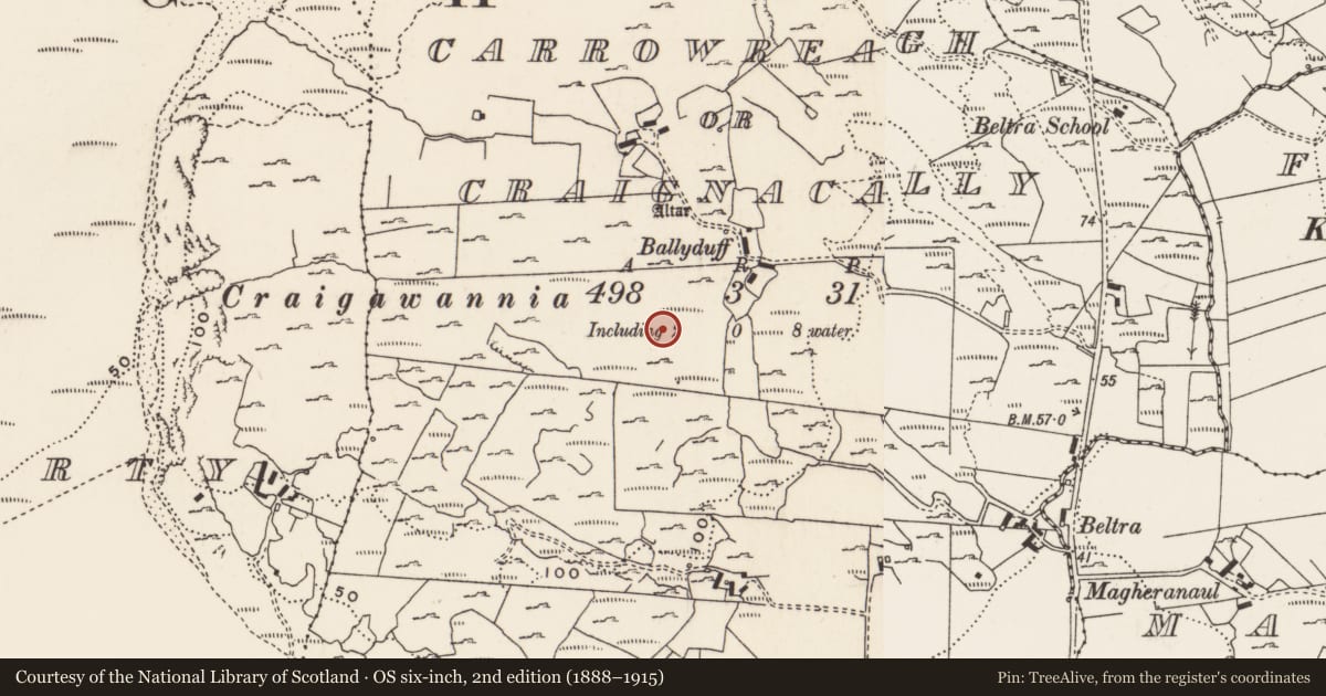 Ordnance Survey six-inch map, 2nd edition (1888–1915) covering the location of Rock art, Carrowreagh Or Craignacally, County Donegal, with a pin at the register's coordinates