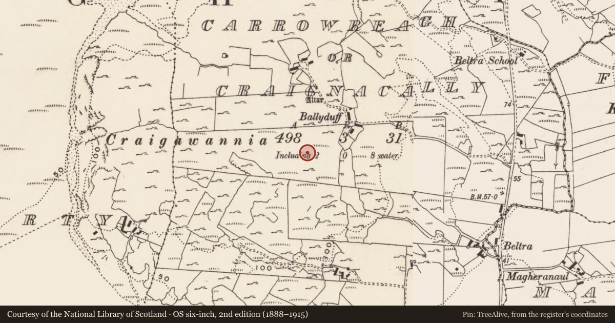 Ordnance Survey six-inch map, 2nd edition (1888–1915) covering the location of Rock art, Carrowreagh Or Craignacally, County Donegal, with a pin at the register's coordinates