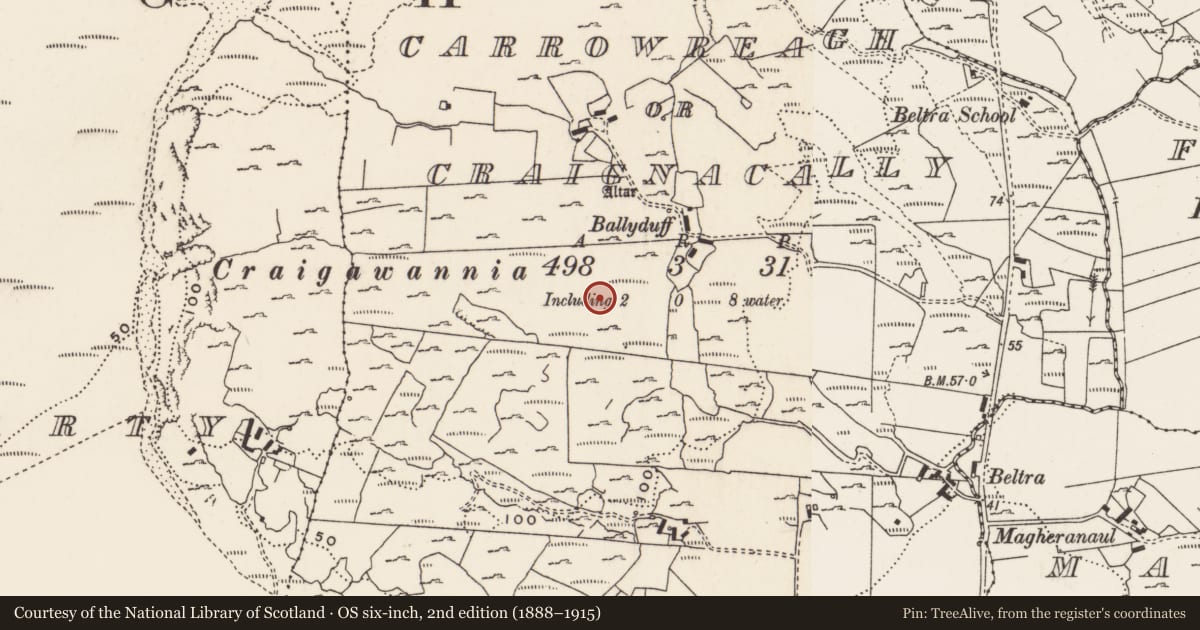 Ordnance Survey six-inch map, 2nd edition (1888–1915) covering the location of Rock art, Carrowreagh Or Craignacally, County Donegal, with a pin at the register's coordinates