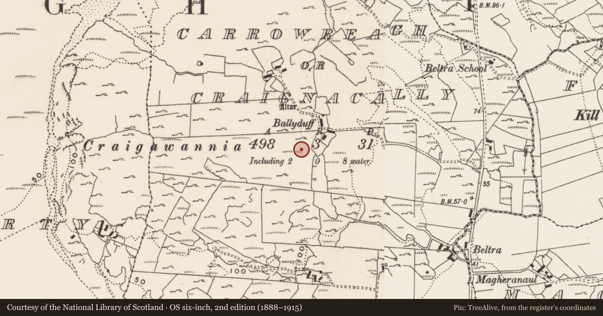 Ordnance Survey six-inch map, 2nd edition (1888–1915) covering the location of Rock art, Carrowreagh Or Craignacally, County Donegal, with a pin at the register's coordinates
