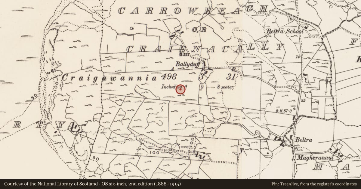 Ordnance Survey six-inch map, 2nd edition (1888–1915) covering the location of Rock art, Carrowreagh Or Craignacally, County Donegal, with a pin at the register's coordinates