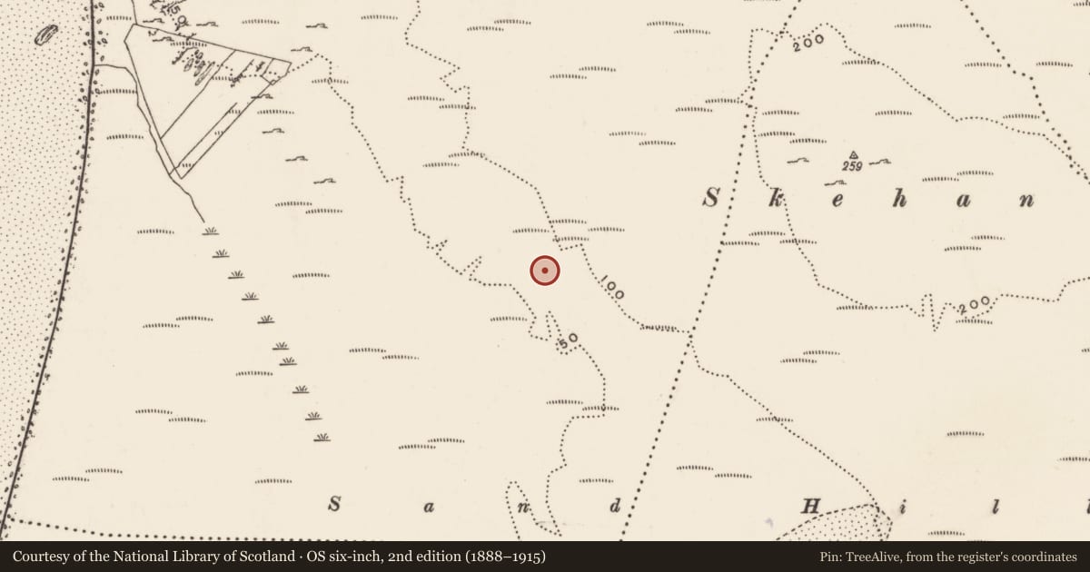 Ordnance Survey six-inch map, 2nd edition (1888–1915) covering the location of Rock art, Carrickabraghy, County Donegal, with a pin at the register's coordinates