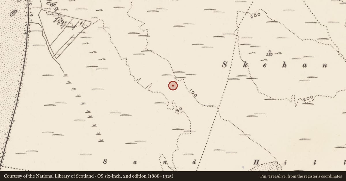 Ordnance Survey six-inch map, 2nd edition (1888–1915) covering the location of Rock art, Carrickabraghy, County Donegal, with a pin at the register's coordinates