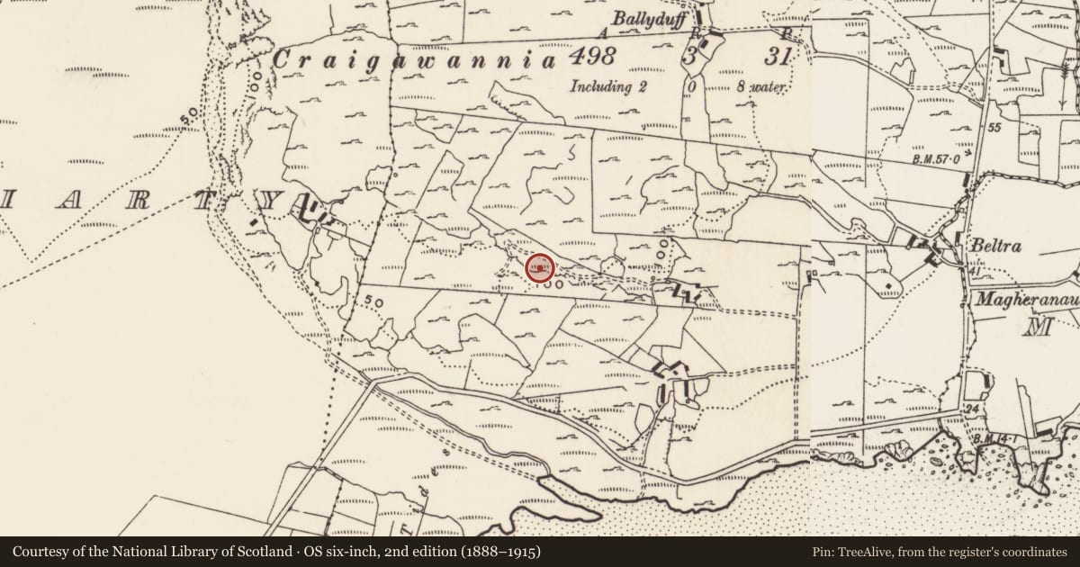 Ordnance Survey six-inch map, 2nd edition (1888–1915) covering the location of Rock art, Carrowreagh Or Craignacally, County Donegal, with a pin at the register's coordinates