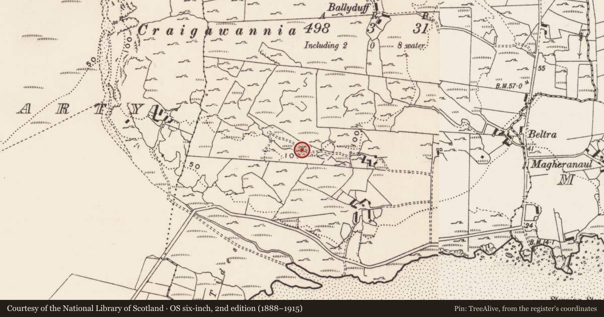 Ordnance Survey six-inch map, 2nd edition (1888–1915) covering the location of Rock art, Carrowreagh Or Craignacally, County Donegal, with a pin at the register's coordinates