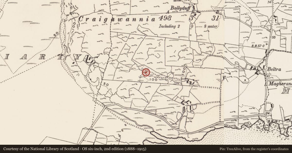 Ordnance Survey six-inch map, 2nd edition (1888–1915) covering the location of Rock art, Carrowreagh Or Craignacally, County Donegal, with a pin at the register's coordinates