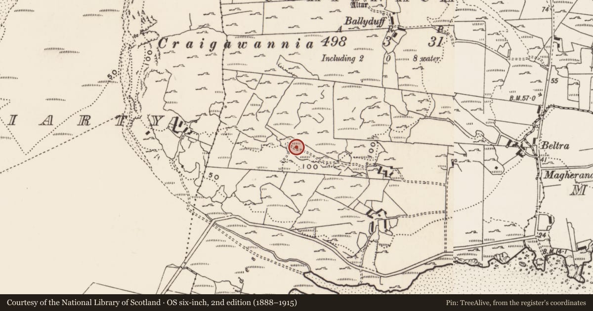 Ordnance Survey six-inch map, 2nd edition (1888–1915) covering the location of Rock art, Carrowreagh Or Craignacally, County Donegal, with a pin at the register's coordinates
