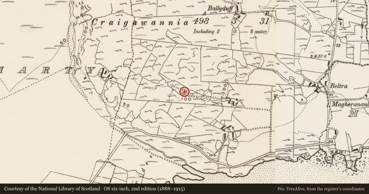 Ordnance Survey six-inch map, 2nd edition (1888–1915) covering the location of Rock art, Carrowreagh Or Craignacally, County Donegal, with a pin at the register's coordinates