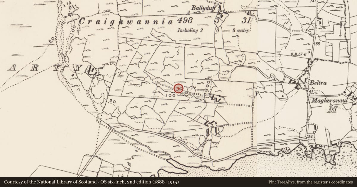 Ordnance Survey six-inch map, 2nd edition (1888–1915) covering the location of Rock art, Carrowreagh Or Craignacally, County Donegal, with a pin at the register's coordinates