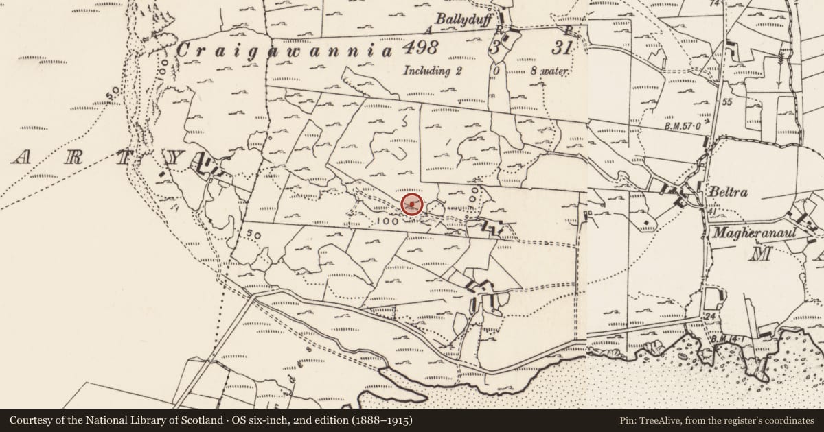 Ordnance Survey six-inch map, 2nd edition (1888–1915) covering the location of Rock art, Carrowreagh Or Craignacally, County Donegal, with a pin at the register's coordinates