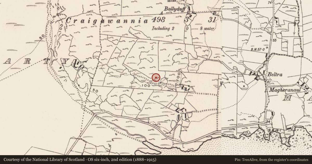 Ordnance Survey six-inch map, 2nd edition (1888–1915) covering the location of Rock art, Carrowreagh Or Craignacally, County Donegal, with a pin at the register's coordinates