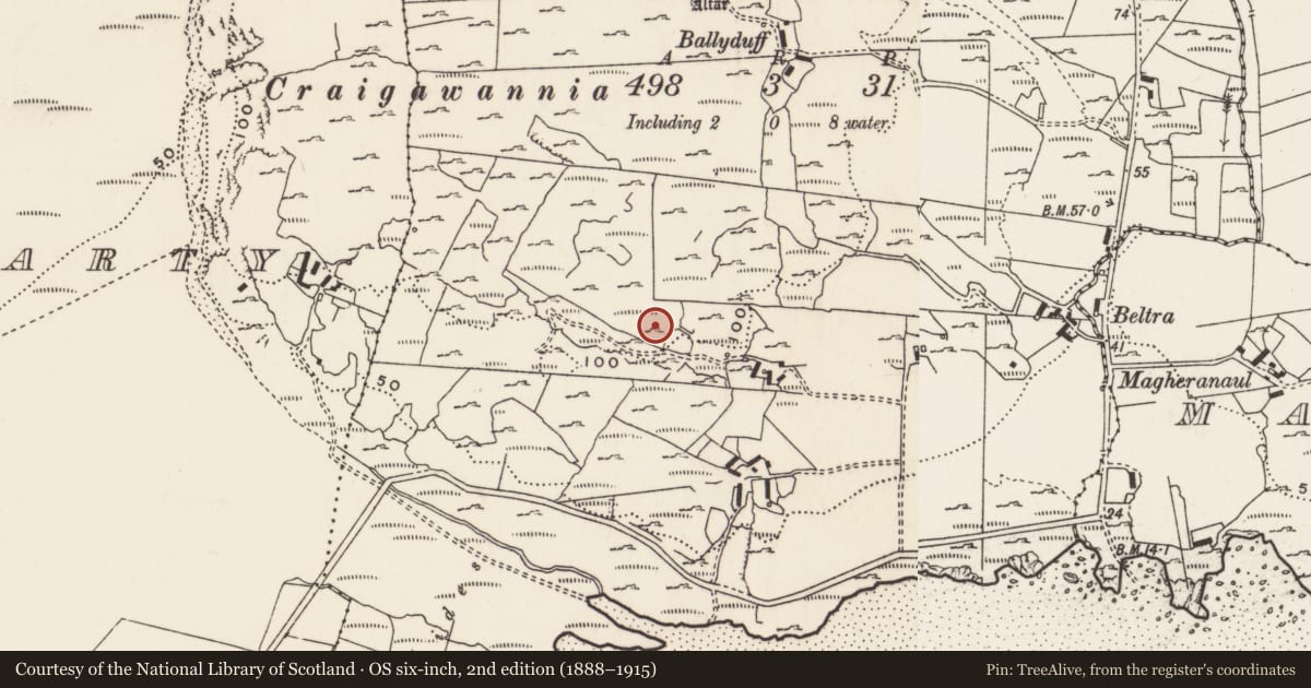 Ordnance Survey six-inch map, 2nd edition (1888–1915) covering the location of Rock art, Carrowreagh Or Craignacally, County Donegal, with a pin at the register's coordinates