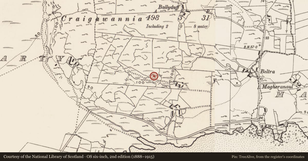 Ordnance Survey six-inch map, 2nd edition (1888–1915) covering the location of Rock art, Carrowreagh Or Craignacally, County Donegal, with a pin at the register's coordinates