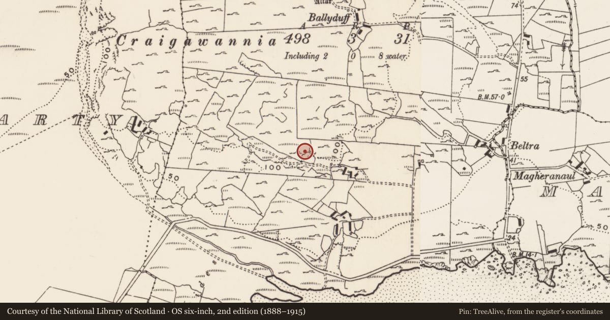 Ordnance Survey six-inch map, 2nd edition (1888–1915) covering the location of Rock art, Carrowreagh Or Craignacally, County Donegal, with a pin at the register's coordinates