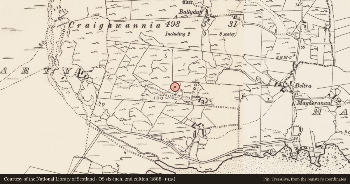 Ordnance Survey six-inch map, 2nd edition (1888–1915) covering the location of Rock art, Carrowreagh Or Craignacally, County Donegal, with a pin at the register's coordinates