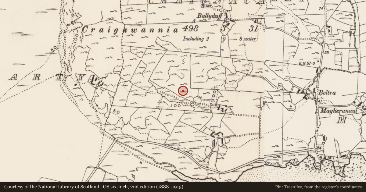 Ordnance Survey six-inch map, 2nd edition (1888–1915) covering the location of Rock art, Carrowreagh Or Craignacally, County Donegal, with a pin at the register's coordinates