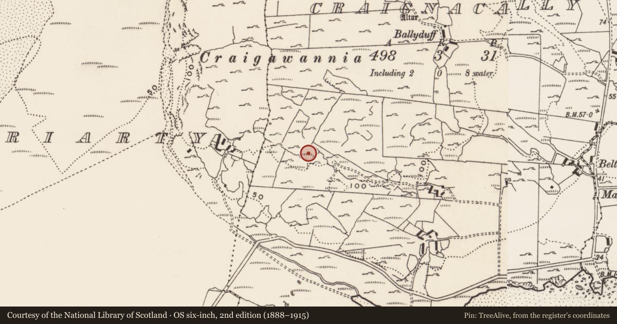Ordnance Survey six-inch map, 2nd edition (1888–1915) covering the location of Rock art, Carrowreagh Or Craignacally, County Donegal, with a pin at the register's coordinates
