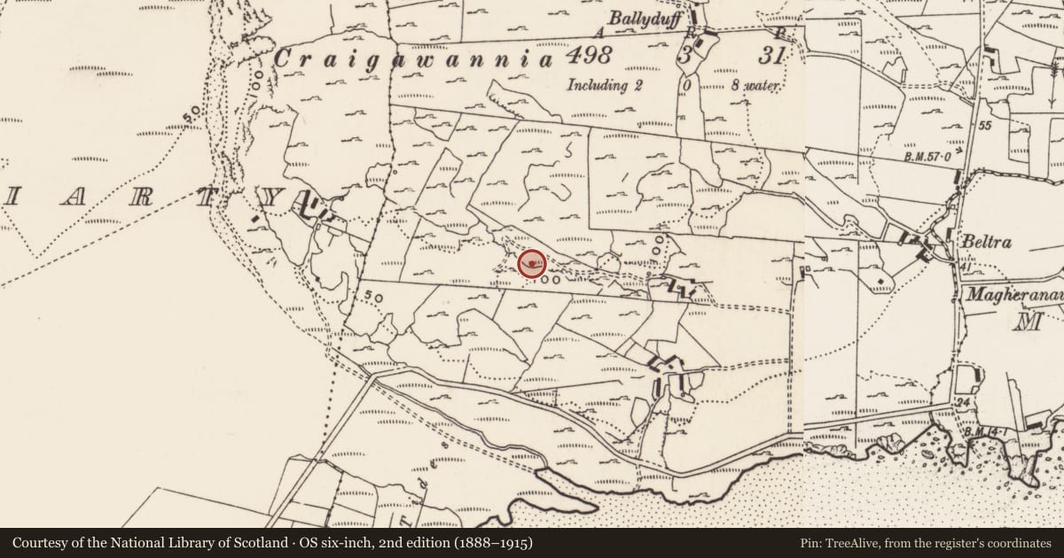 Ordnance Survey six-inch map, 2nd edition (1888–1915) covering the location of Rock art, Carrowreagh Or Craignacally, County Donegal, with a pin at the register's coordinates