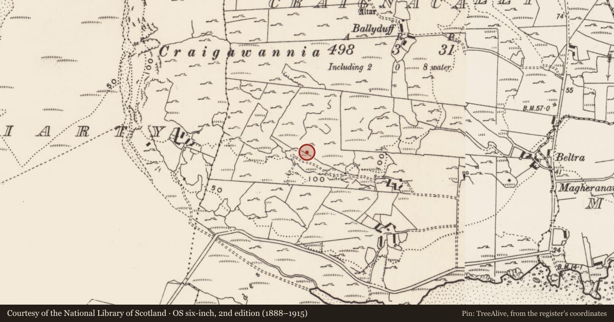 Ordnance Survey six-inch map, 2nd edition (1888–1915) covering the location of Rock art, Carrowreagh Or Craignacally, County Donegal, with a pin at the register's coordinates