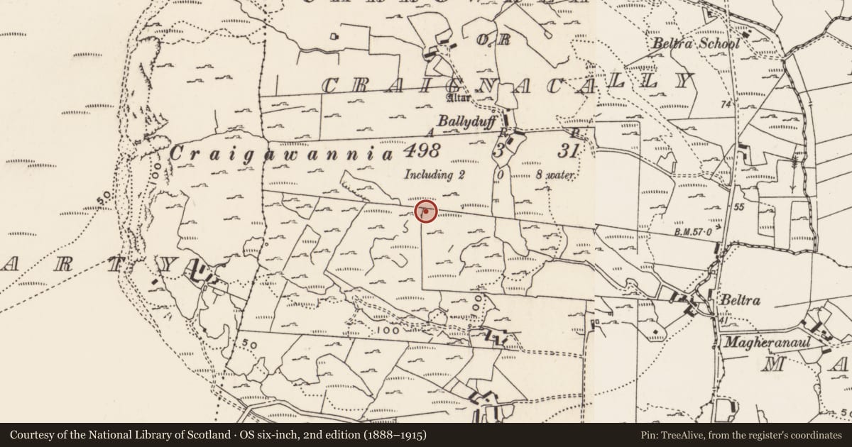 Ordnance Survey six-inch map, 2nd edition (1888–1915) covering the location of Rock art, Carrowreagh Or Craignacally, County Donegal, with a pin at the register's coordinates