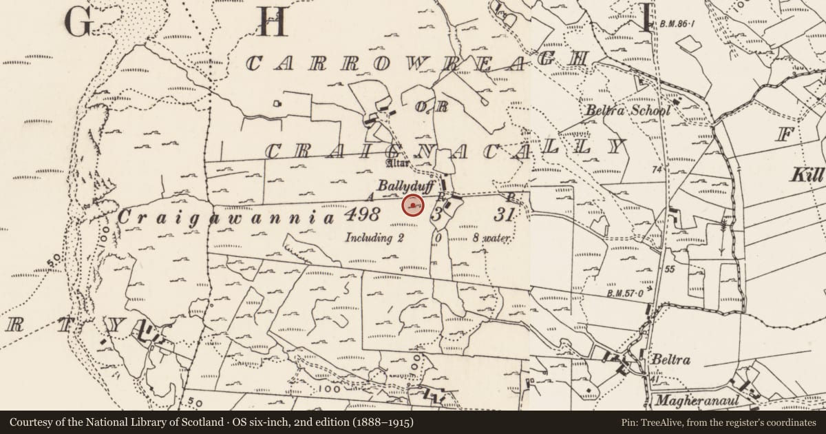 Ordnance Survey six-inch map, 2nd edition (1888–1915) covering the location of Rock art, Carrowreagh Or Craignacally, County Donegal, with a pin at the register's coordinates