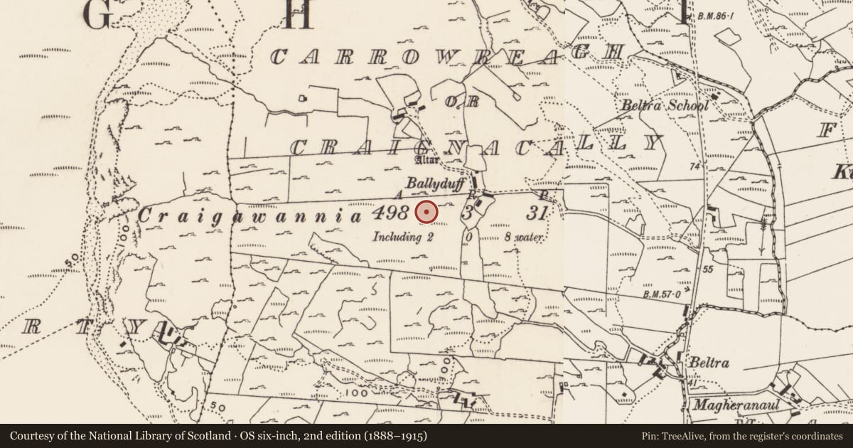 Ordnance Survey six-inch map, 2nd edition (1888–1915) covering the location of Standing stone, Carrowreagh Or Craignacally, County Donegal, with a pin at the register's coordinates