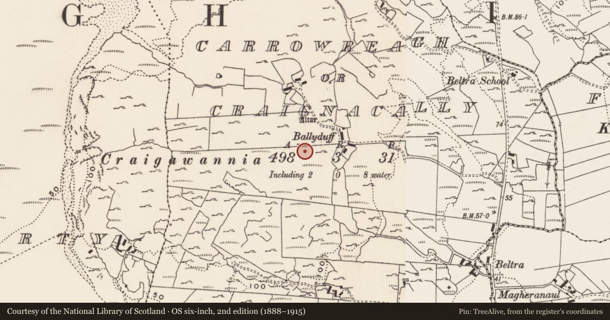 Ordnance Survey six-inch map, 2nd edition (1888–1915) covering the location of Rock art, Carrowreagh Or Craignacally, County Donegal, with a pin at the register's coordinates