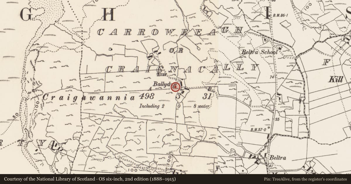 Ordnance Survey six-inch map, 2nd edition (1888–1915) covering the location of Rock art, Carrowreagh Or Craignacally, County Donegal, with a pin at the register's coordinates