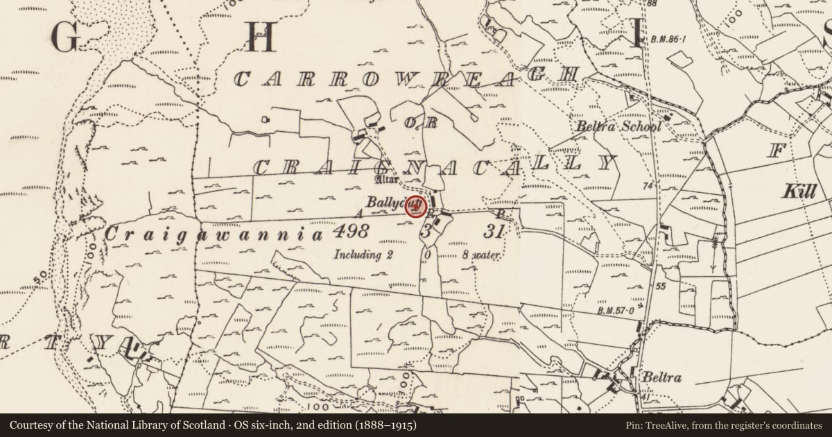 Ordnance Survey six-inch map, 2nd edition (1888–1915) covering the location of Rock art, Carrowreagh Or Craignacally, County Donegal, with a pin at the register's coordinates