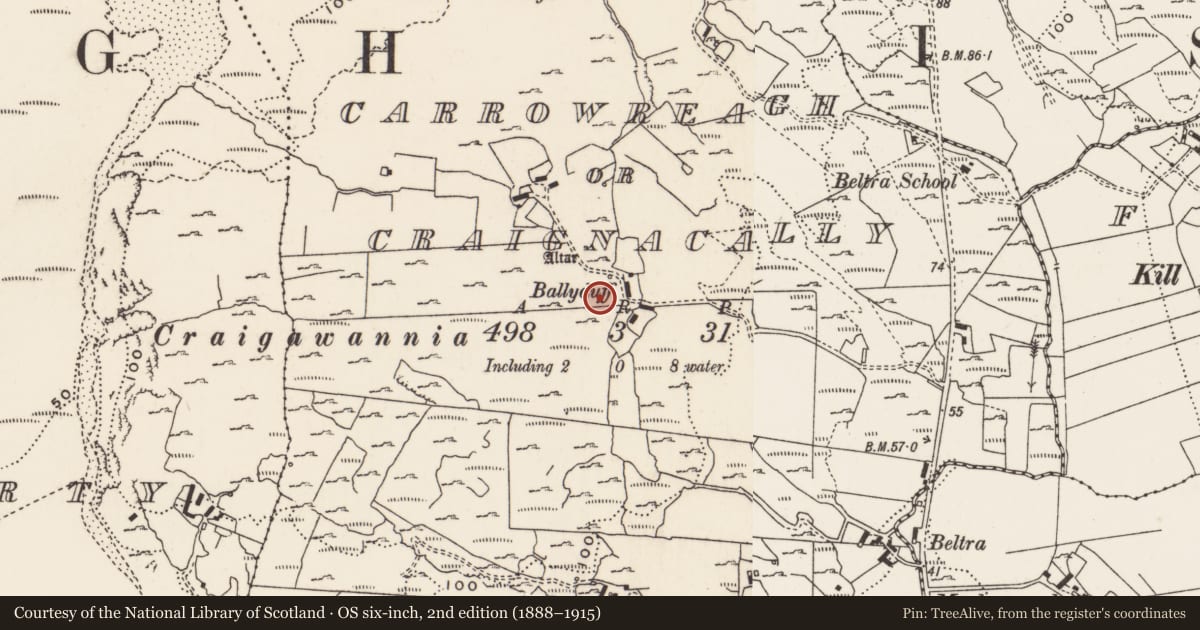 Ordnance Survey six-inch map, 2nd edition (1888–1915) covering the location of Rock art, Carrowreagh Or Craignacally, County Donegal, with a pin at the register's coordinates