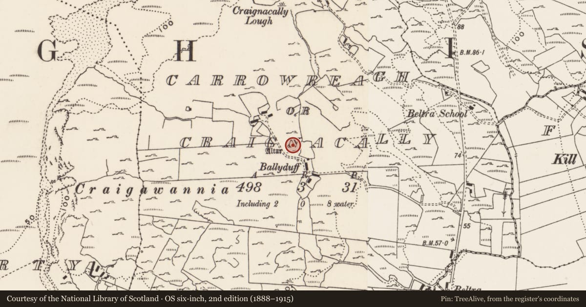 Ordnance Survey six-inch map, 2nd edition (1888–1915) covering the location of Rock art, Carrowreagh Or Craignacally, County Donegal, with a pin at the register's coordinates