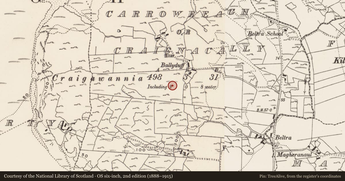 Ordnance Survey six-inch map, 2nd edition (1888–1915) covering the location of Standing stone, Carrowreagh Or Craignacally, County Donegal, with a pin at the register's coordinates