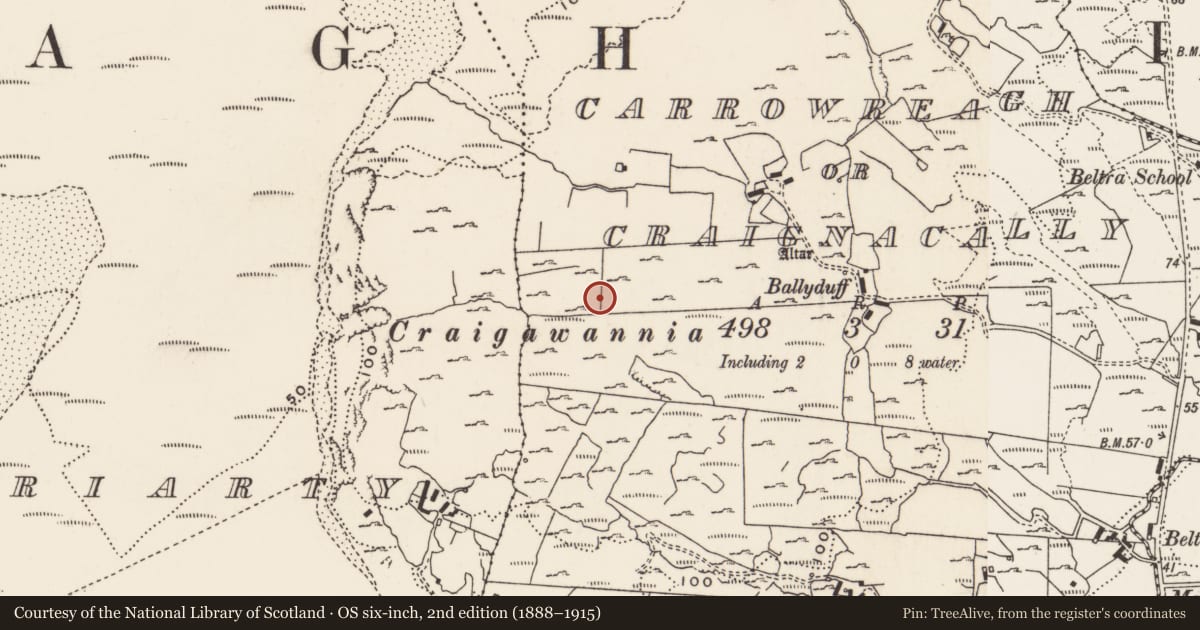 Ordnance Survey six-inch map, 2nd edition (1888–1915) covering the location of Rock art, Carrowreagh Or Craignacally, County Donegal, with a pin at the register's coordinates