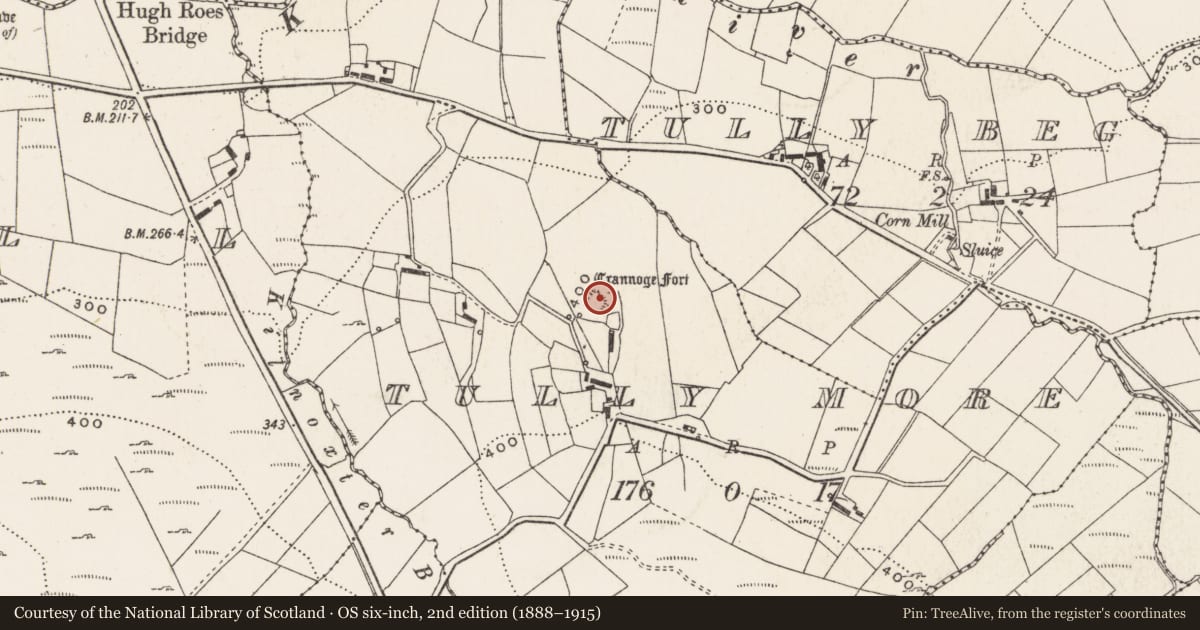 Ordnance Survey six-inch map, 2nd edition (1888–1915) covering the location of Ringfort - rath, Tully More, County Donegal, with a pin at the register's coordinates