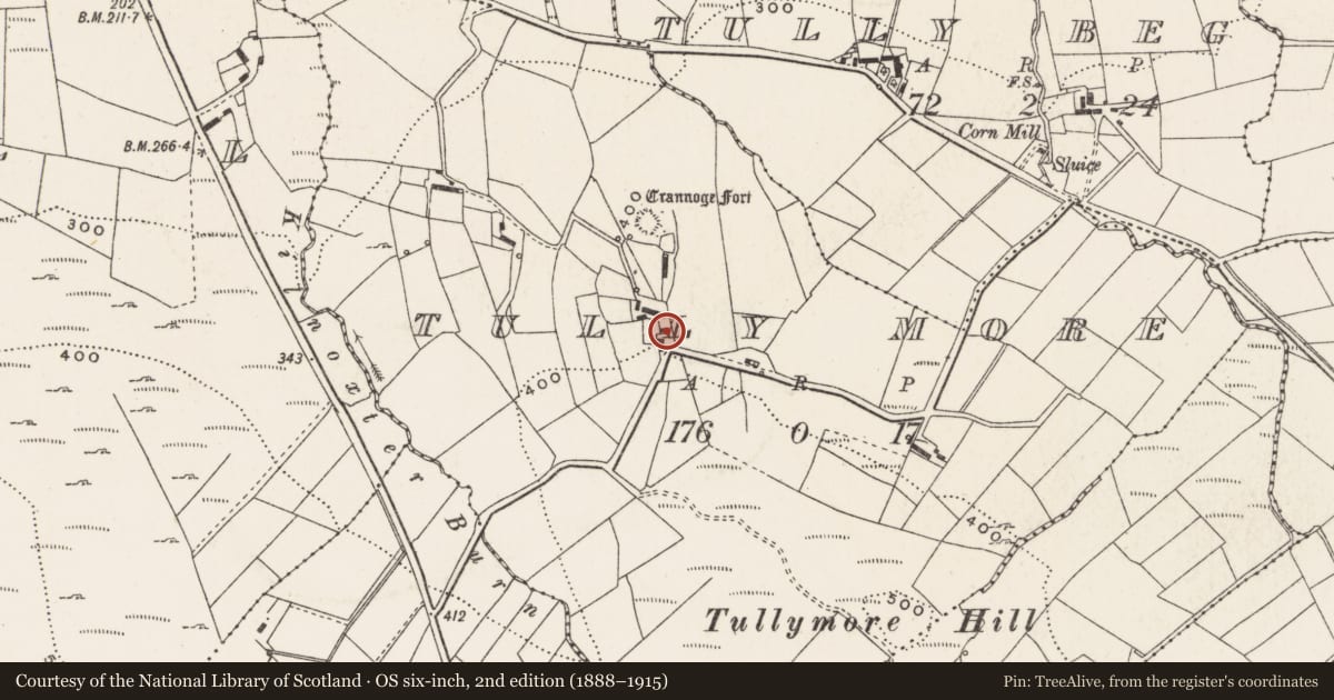 Ordnance Survey six-inch map, 2nd edition (1888–1915) covering the location of Bullaun stone, Tully More, County Donegal, with a pin at the register's coordinates