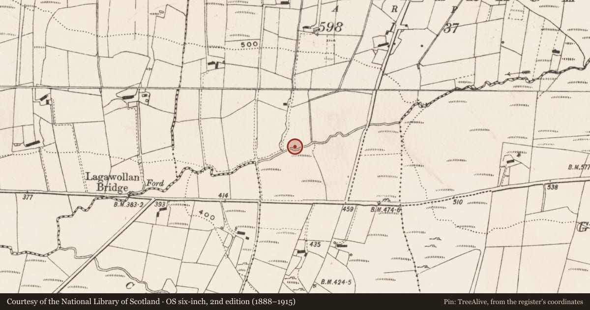 Ordnance Survey six-inch map, 2nd edition (1888–1915) covering the location of Children's burial ground, Lougherbraghy, County Donegal, with a pin at the register's coordinates