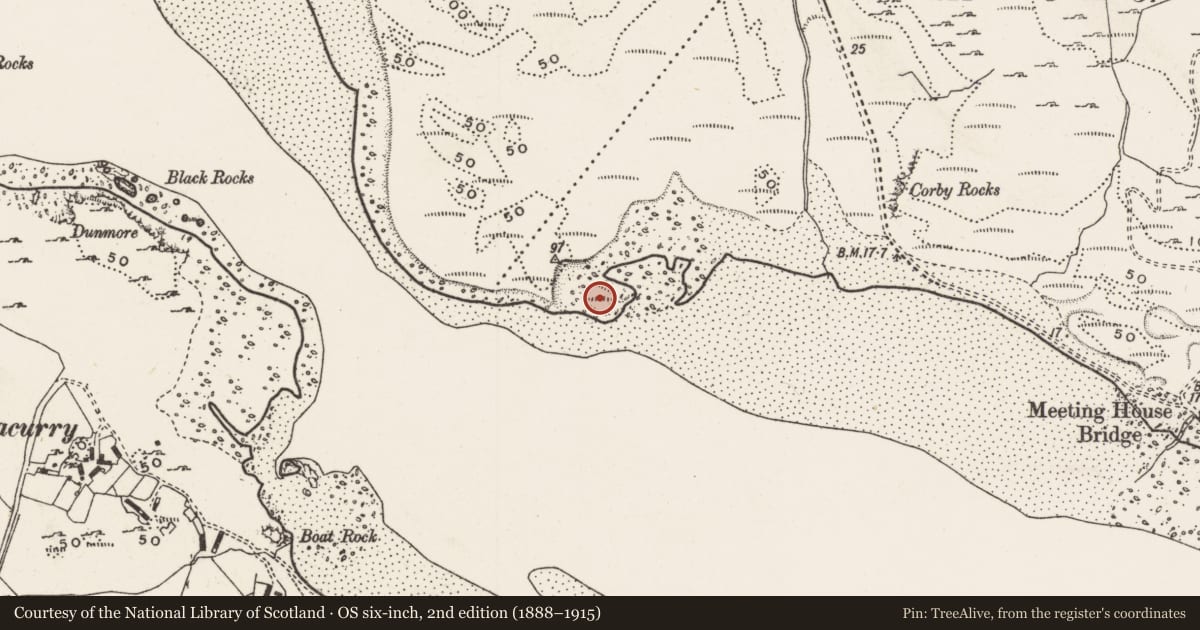 Ordnance Survey six-inch map, 2nd edition (1888–1915) covering the location of Ringfort - unclassified, Drung, County Donegal, with a pin at the register's coordinates
