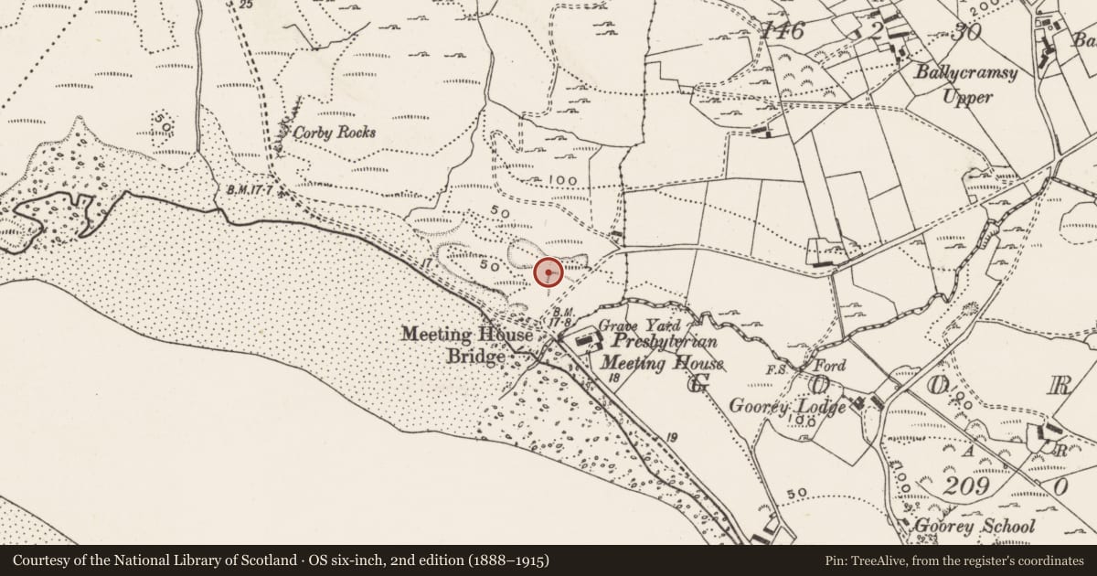 Ordnance Survey six-inch map, 2nd edition (1888–1915) covering the location of Flat cemetery, Drung, County Donegal, with a pin at the register's coordinates