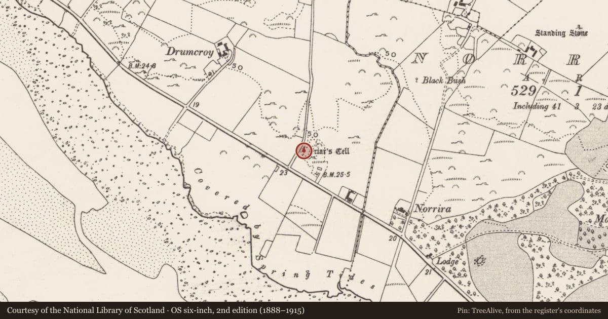 Ordnance Survey six-inch map, 2nd edition (1888–1915) covering the location of Hut site, Balleelaghan, County Donegal, with a pin at the register's coordinates